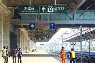 东莞火车站爆料视频最新,现场实况直击，揭秘神秘事件！